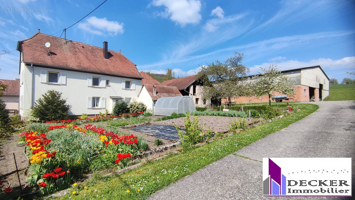 Maison à ZINSWILLER