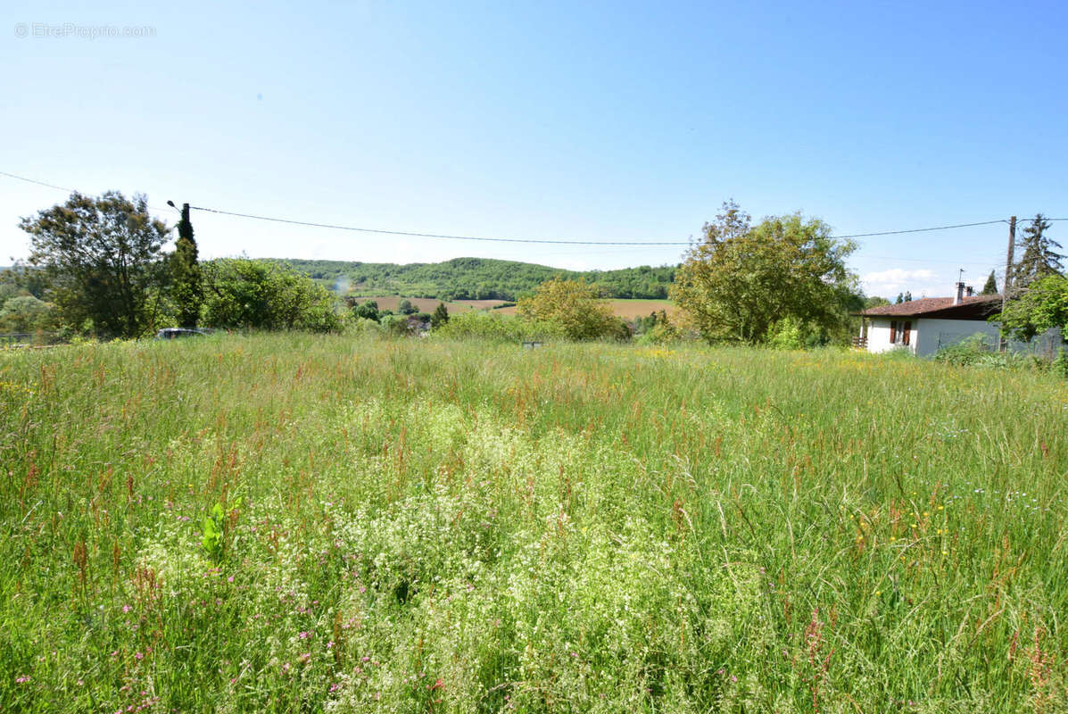 DSC_1049 - Terrain à AURIGNAC