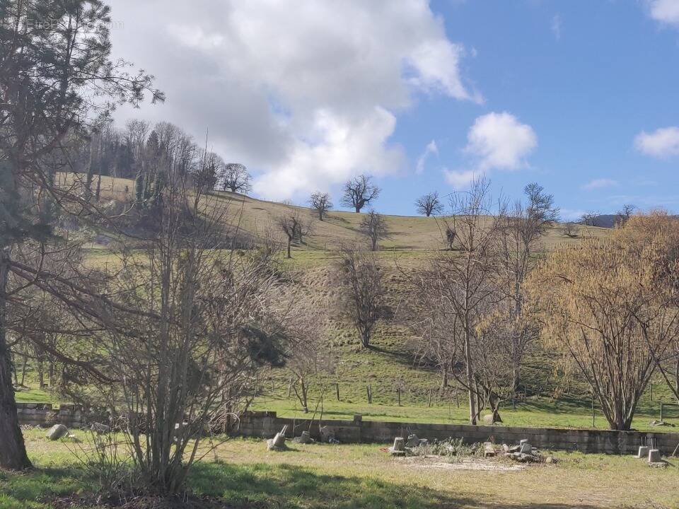 Terrain à VALLIERES