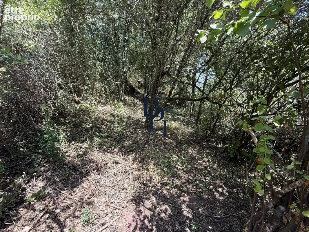 Vente Mazet sur 1,29 hectares de terrains bordé par ruisseau Saint Affrique, - photo 17