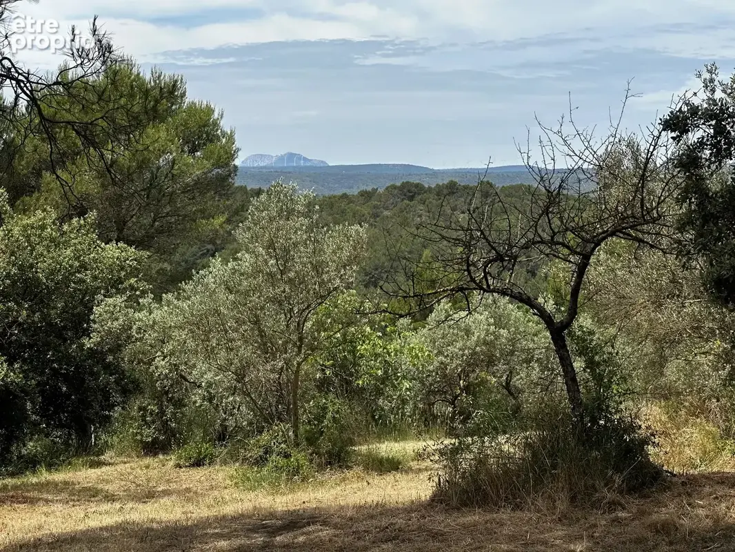Photo Terrain à Ponteves au prix de 480 000€