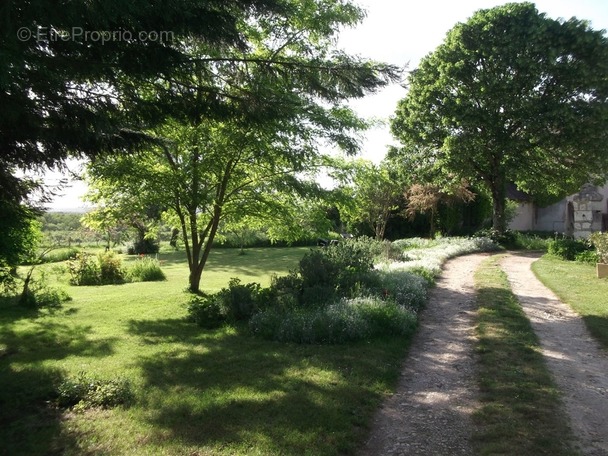 Maison à LA ROCHE-POSAY