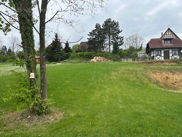 Terrain à BISCHOFFSHEIM