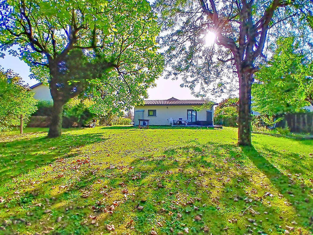 Maison à BELLEVILLE