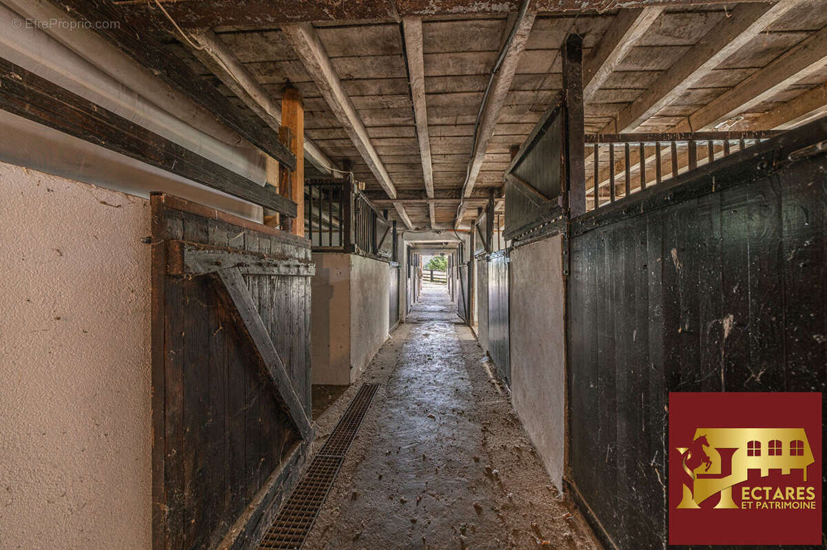Magnifique domaine 6,4 hectares + fermages - photo 7