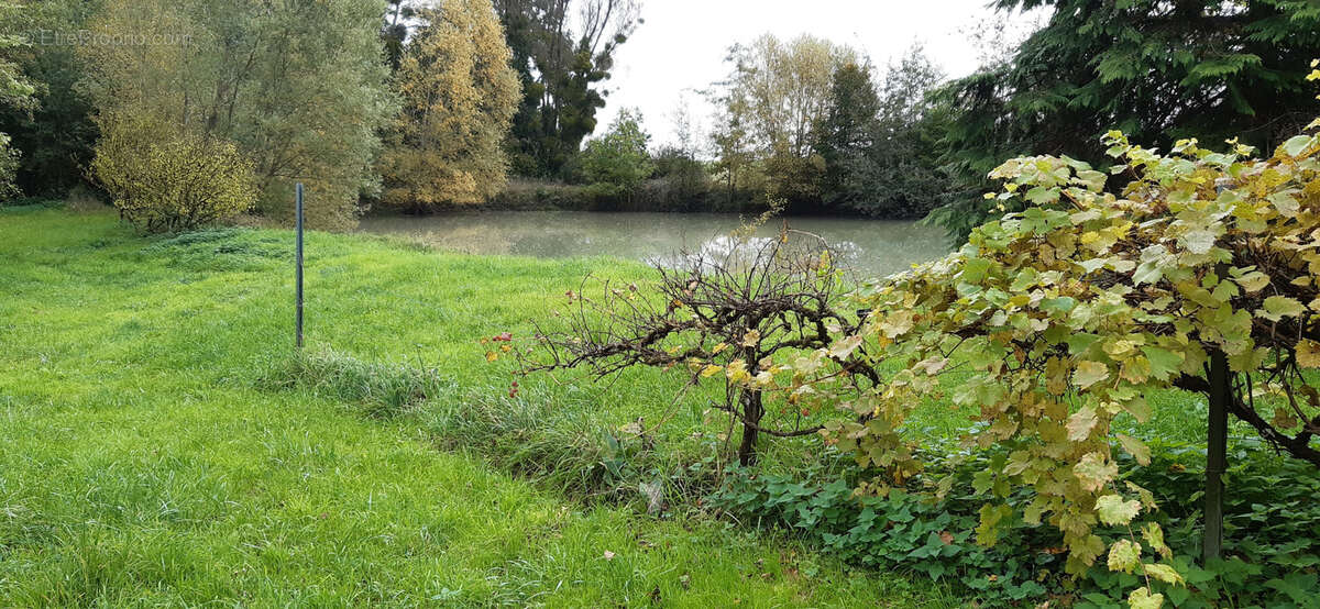 Terrain à LUNEVILLE