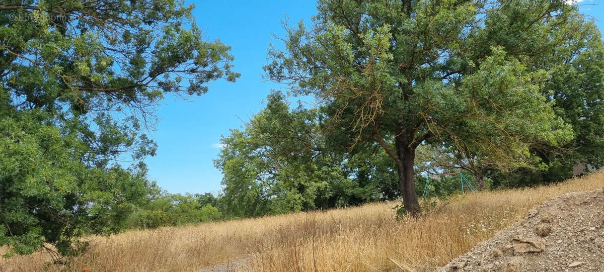 Maison à ROQUEBRUNE-SUR-ARGENS