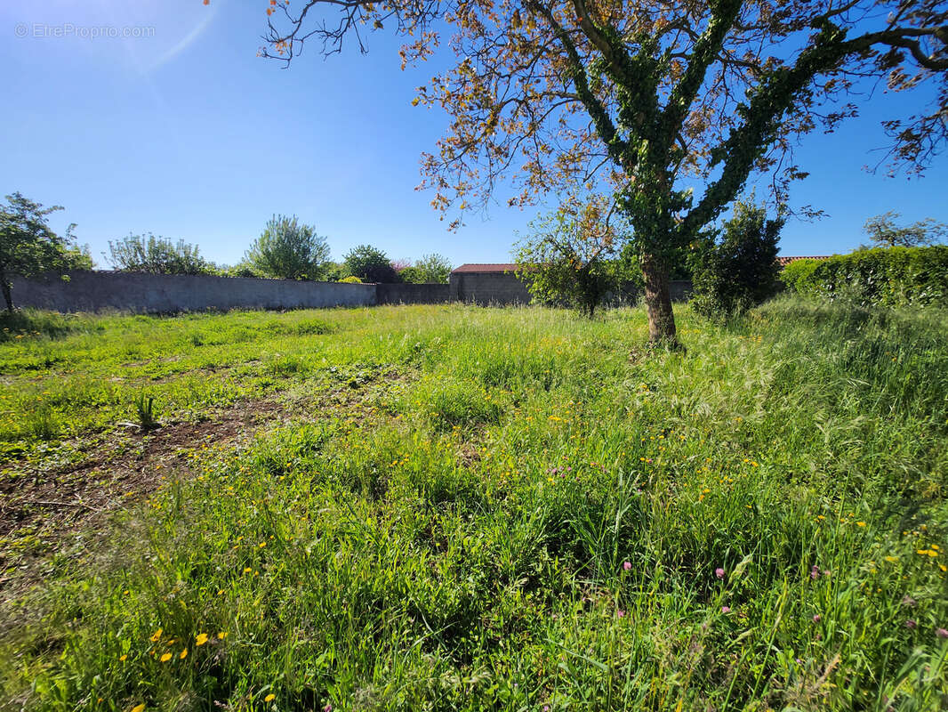Terrain constructible totalement clos non viabilisé - photo 2