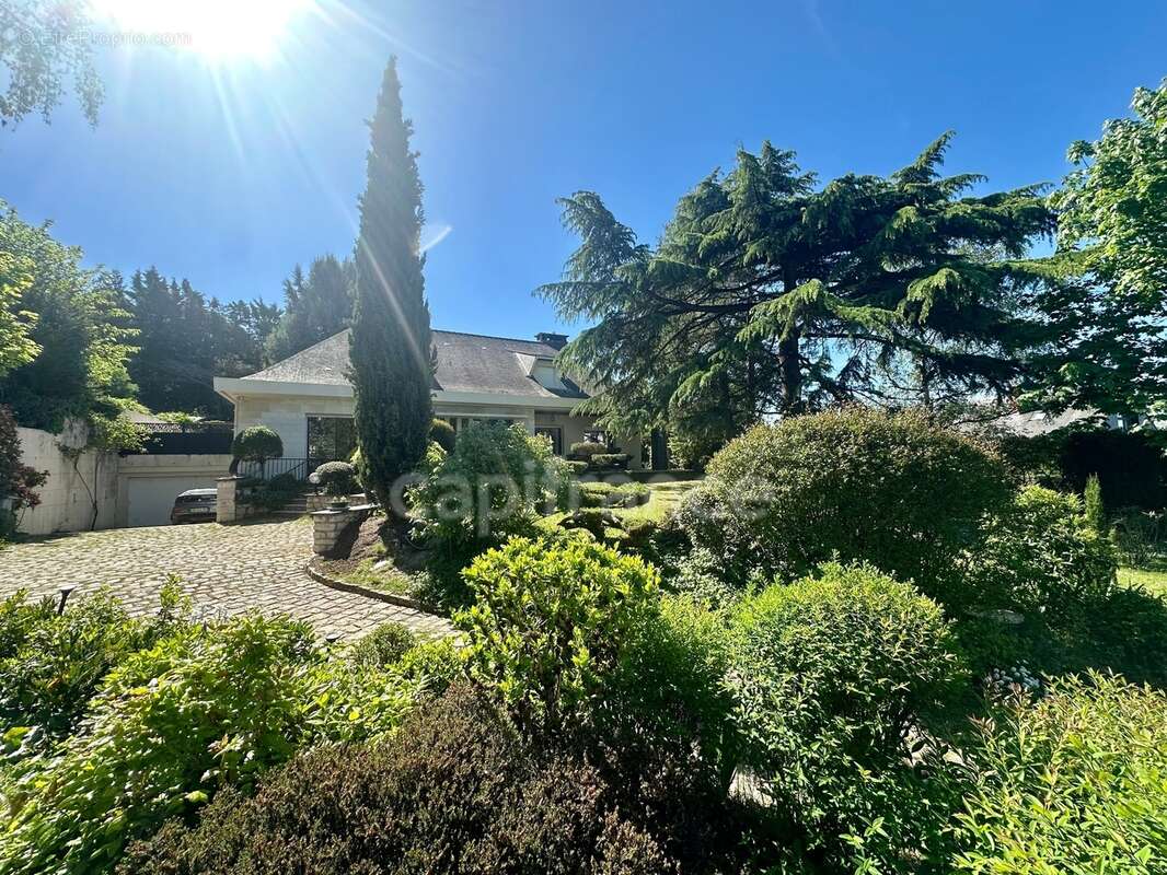 Propriete d'exception à vendre à SAUMUR (49400)  Panorama d'exception sur le château et la Loire - 328m² - 2278m²-piscine - photo 15