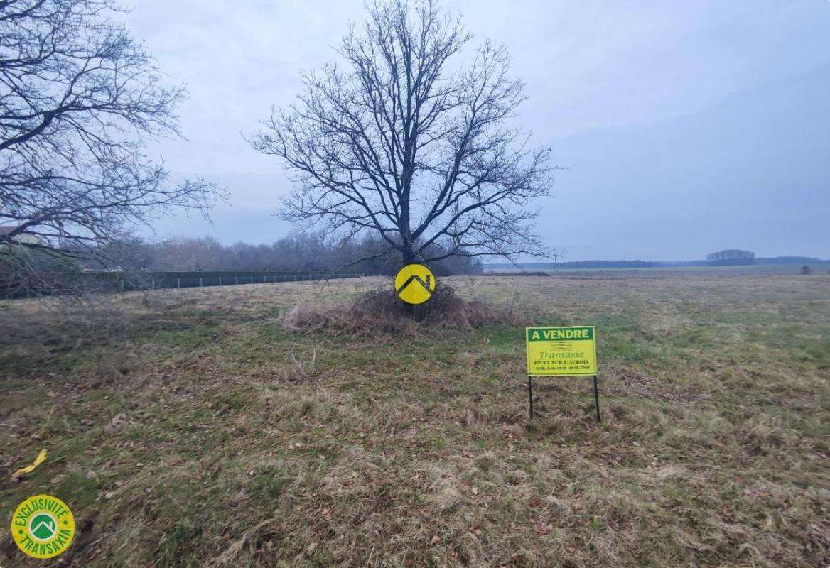 Terrain à TRACY-SUR-LOIRE