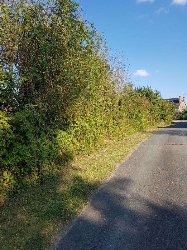 Terrain à LA COUR-MARIGNY