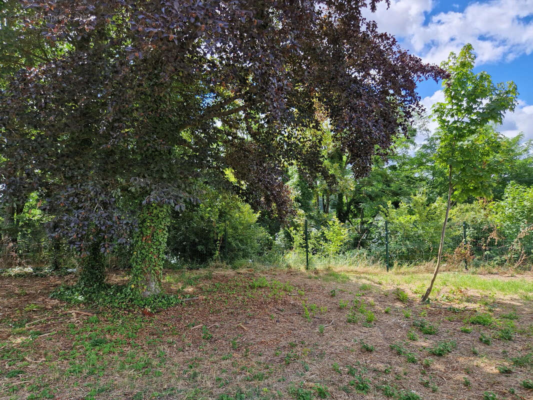 Vente exceptionnel terrain constructible bord de loire - photo 6
