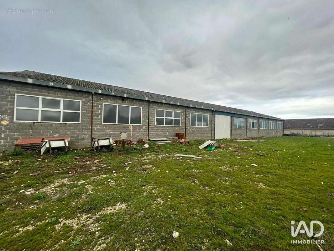 Photo 8 - Commerce à NERAC