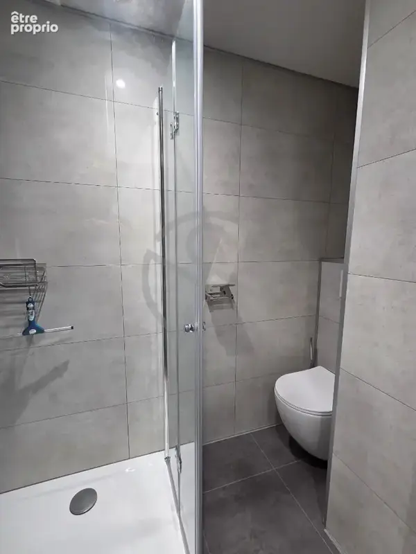 Appartement Grenoble 2 pièce(s) - photo 5