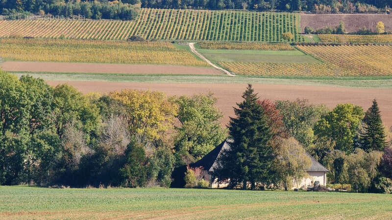 Maison à GEVREY-CHAMBERTIN