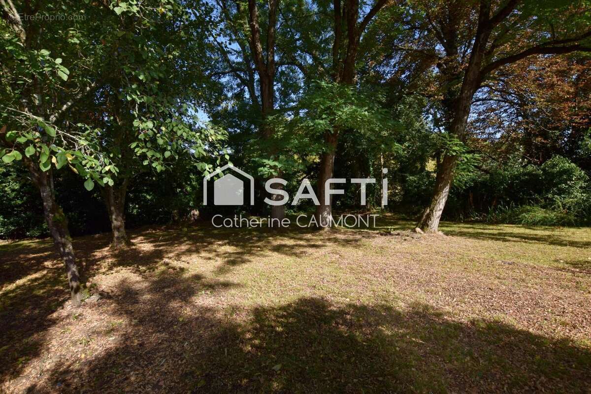 Photo 4 - Maison à CASTRES