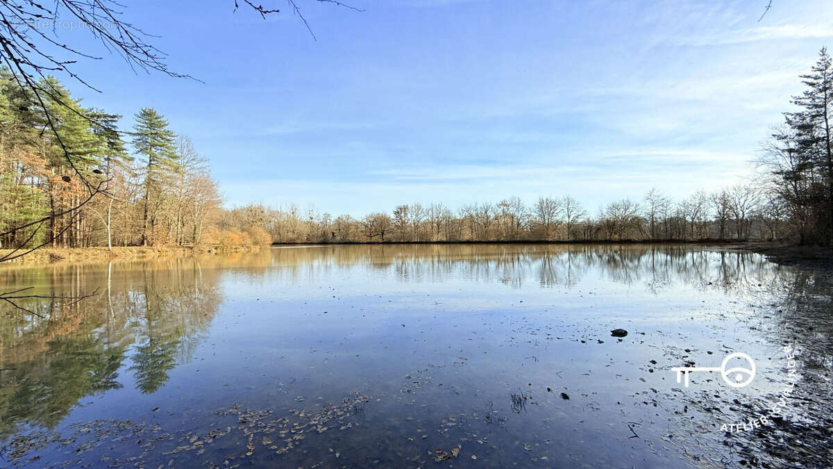 Terrain à NEUNG-SUR-BEUVRON