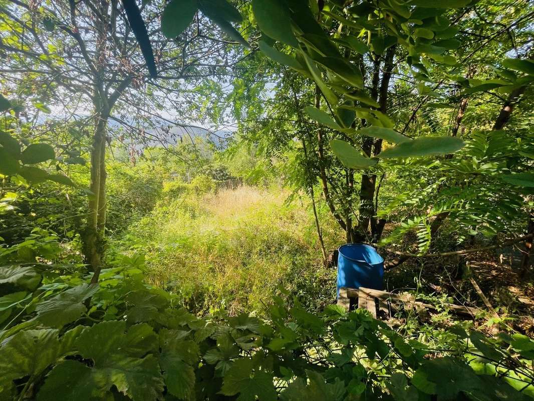 Terrain à CORNEILLA-DE-CONFLENT