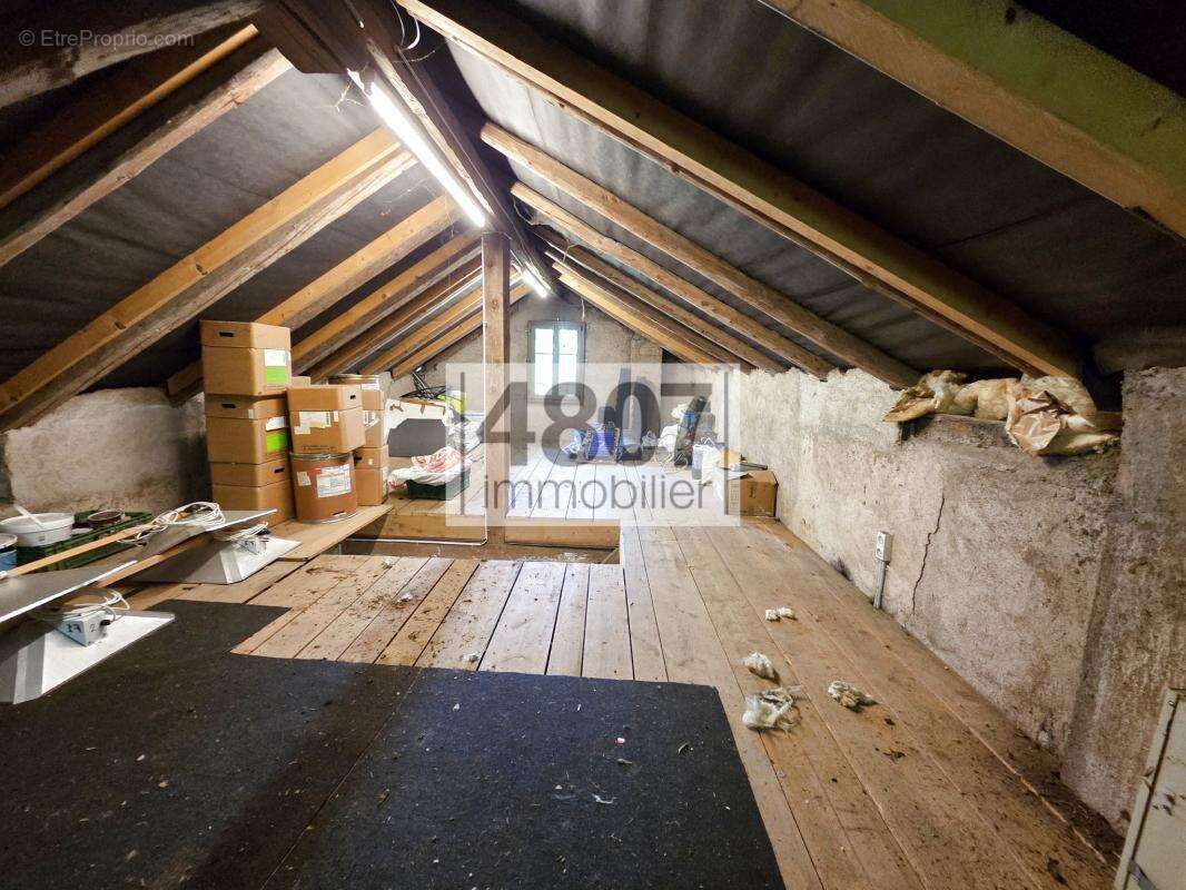 Bonne sur menoge - maison avec terrain au calme - photo 4