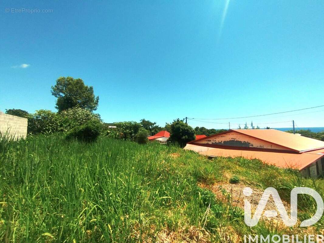 Photo 8 - Maison à SAINTE-ROSE