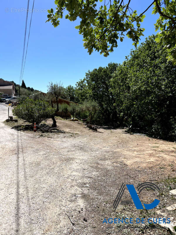 Terrain à SOLLIES-TOUCAS