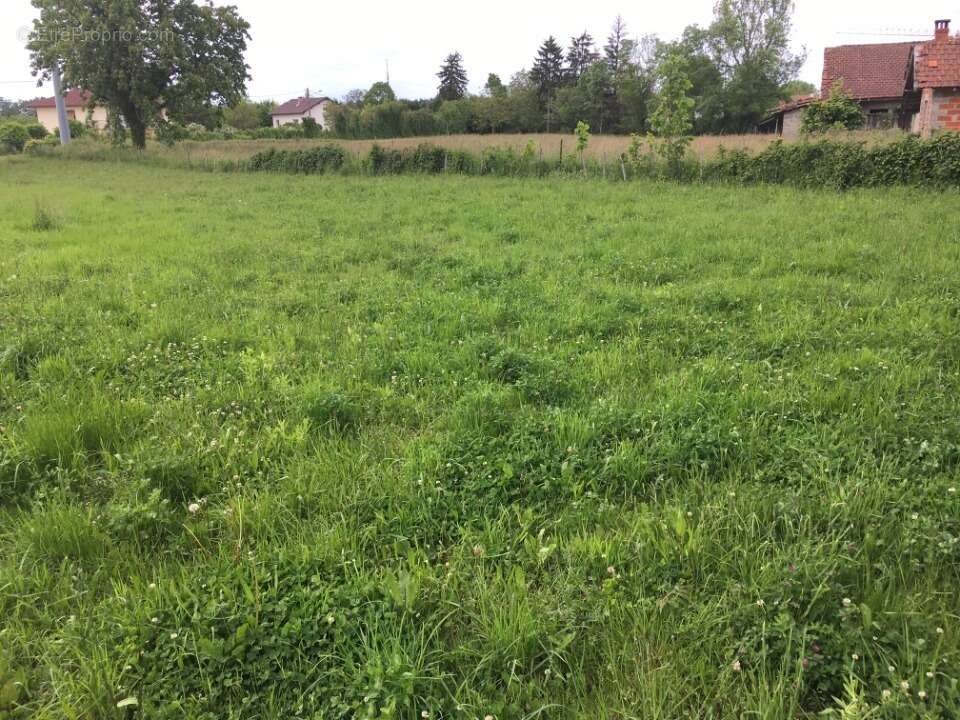Terrain à CHARNAY-LES-MACON