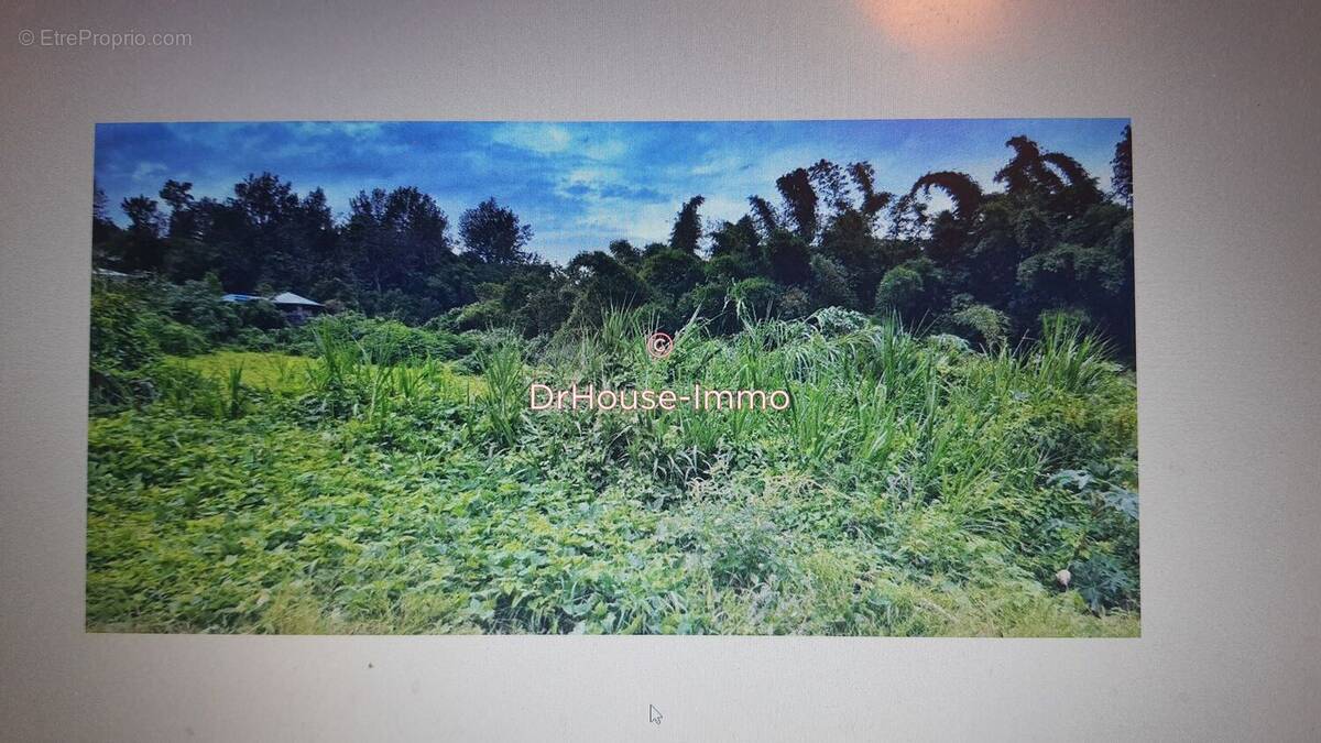 Terrain à LE TAMPON