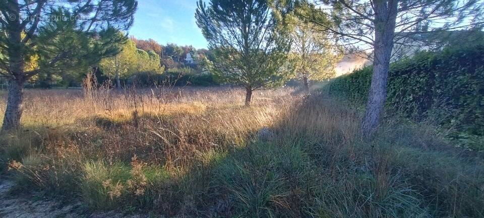 Terrain à BARJAC