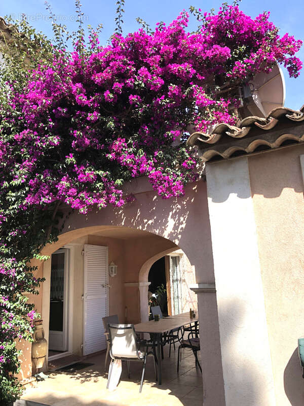 Autre à SAINT-RAPHAEL