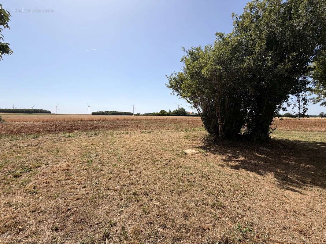 Propriété de caractère exceptionnelle avec appartement indépendant, potentiel gîte, garages et grand hangar - photo 27