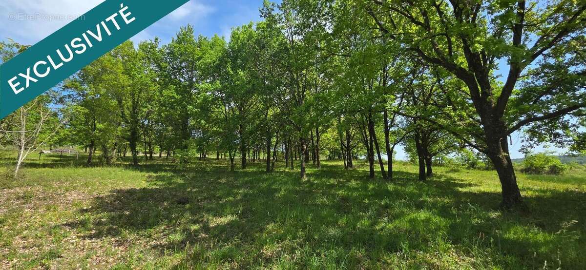 Photo 3 - Terrain à YZEURES-SUR-CREUSE