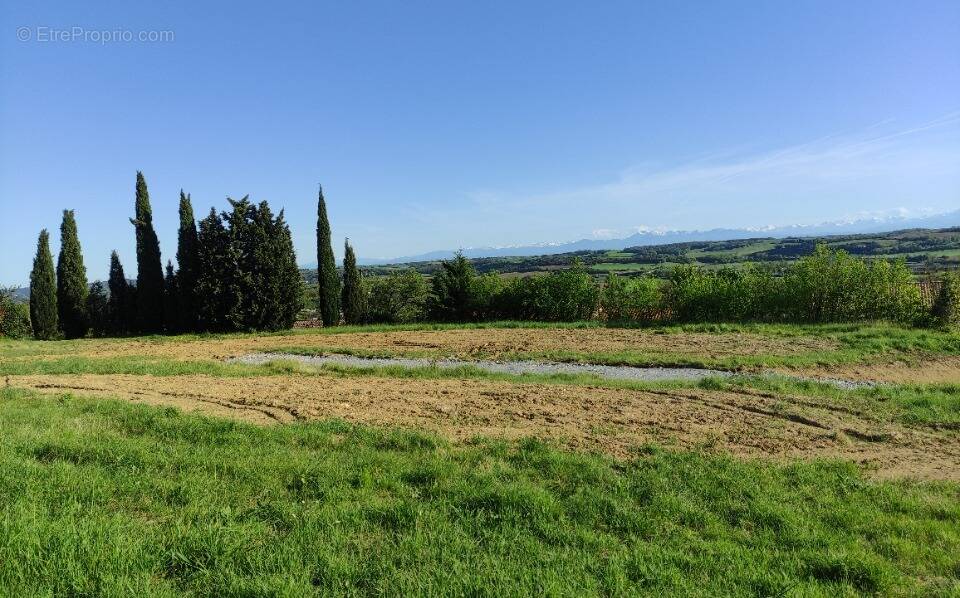 Terrain à MONTFERRAND