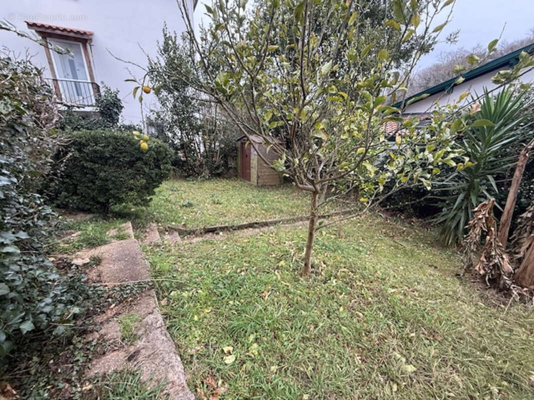 Appartement à SAINT-JEAN-DE-LUZ