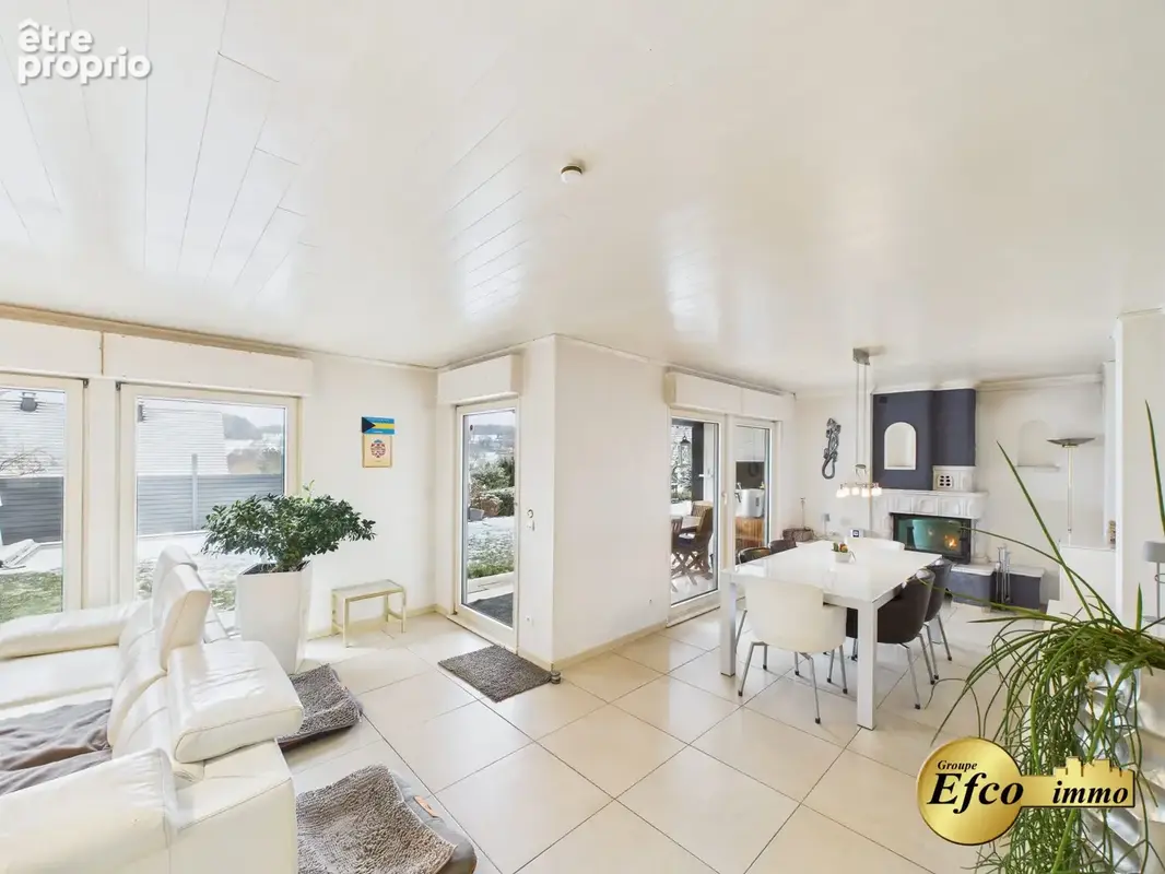 Maison 7 pièces 203 m² à vendre à Hagenthal-Le-Bas (68220) - photo 7