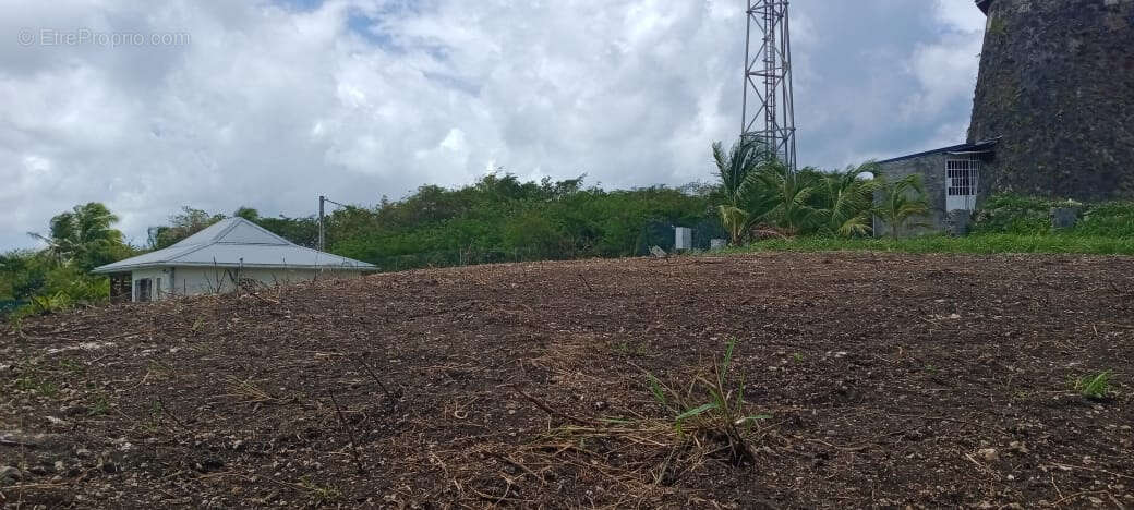 Terrain à PORT-LOUIS