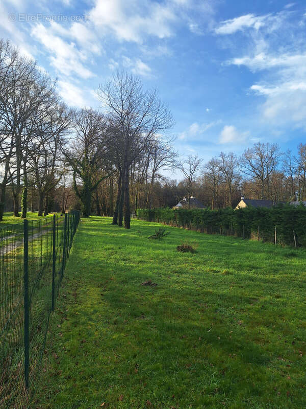 Terrain à BRAIN-SUR-ALLONNES
