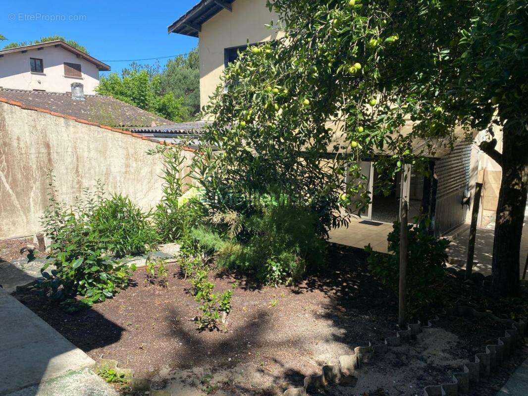 Maison à LEGE-CAP-FERRET