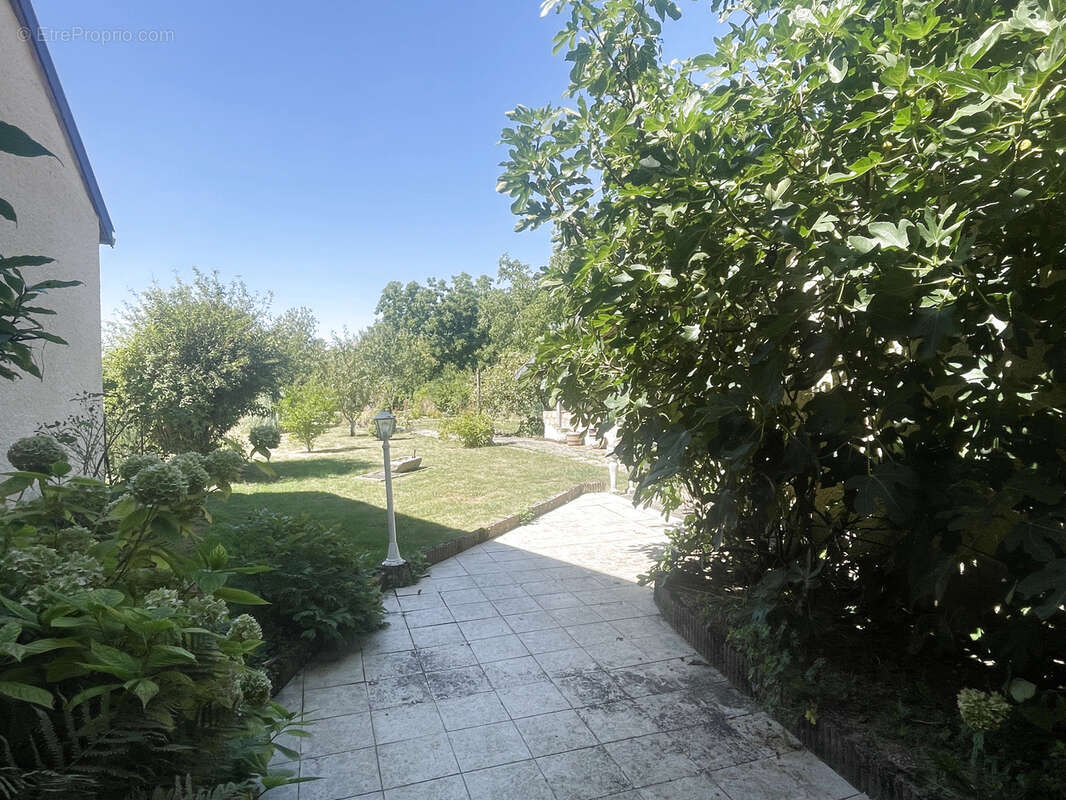 Maxey sur meuse 150m2 3 chambres terrain - photo 13