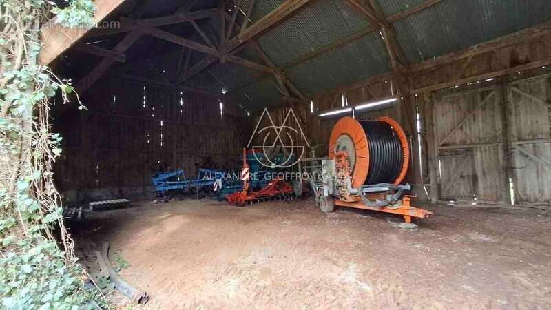Propriété de chasse en Sologne s'étendant sur 84 hectares. A 15 minutes de Romorantin - photo 14