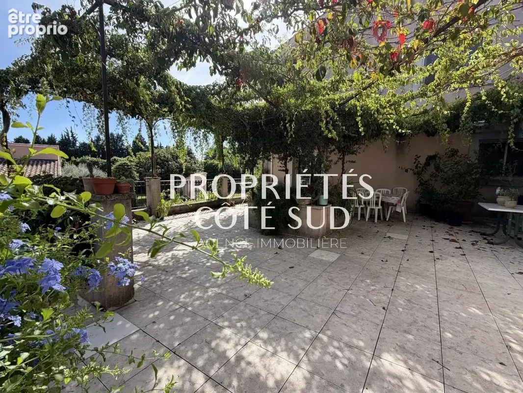 Avignon la barthelasse ensemble immobilier - photo 2