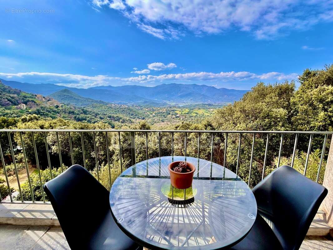 Villa d'exception à vendre 6 pièces POGGIO D'OLETTA, Haute Corse  (20) - photo 11
