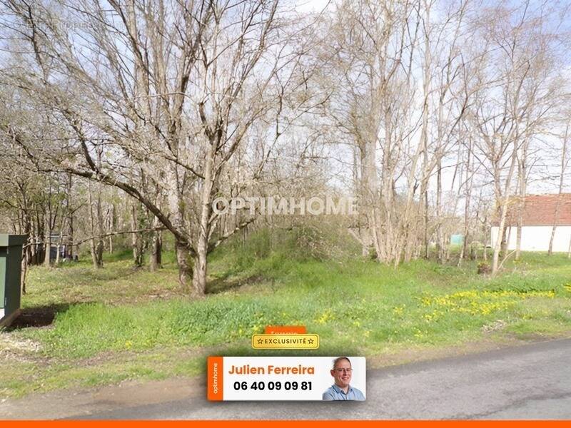 Terrain à BEAULIEU-SUR-LOIRE