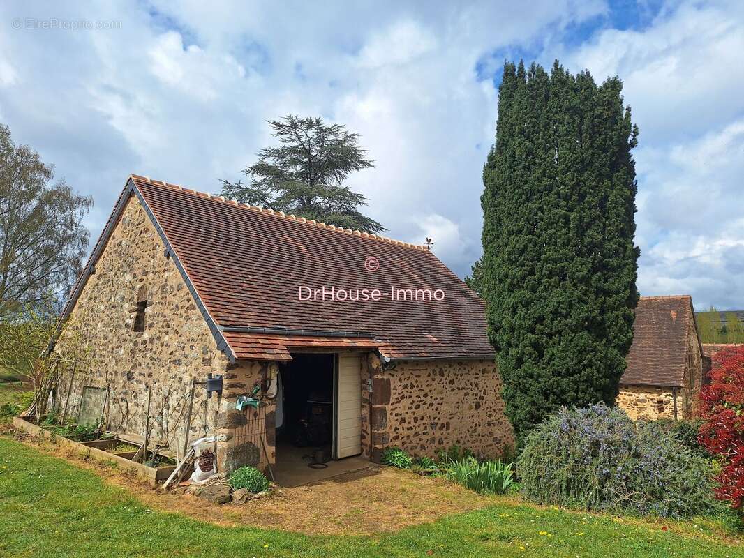 Maison 350 m² à Domfront-En-Champagne  - photo 18