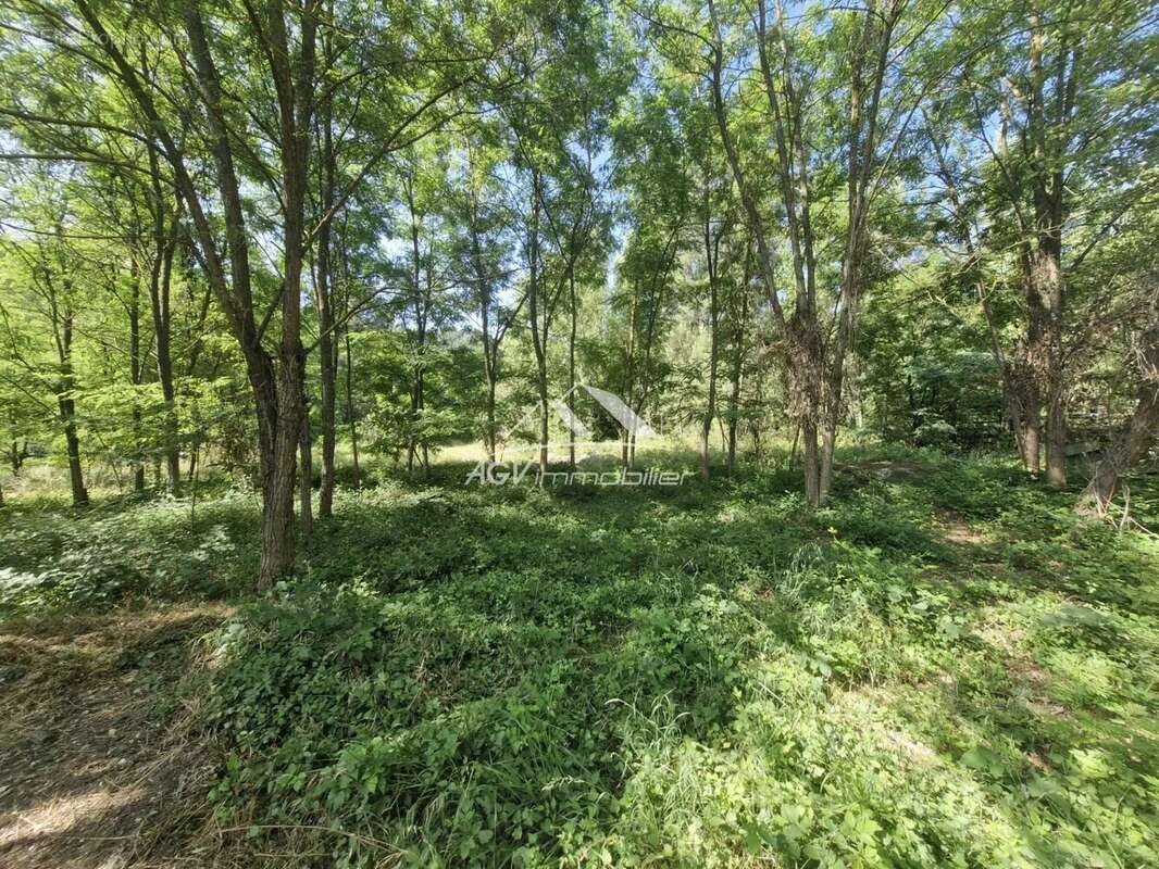 Commerce à SAINT-JEAN-DE-VALERISCLE