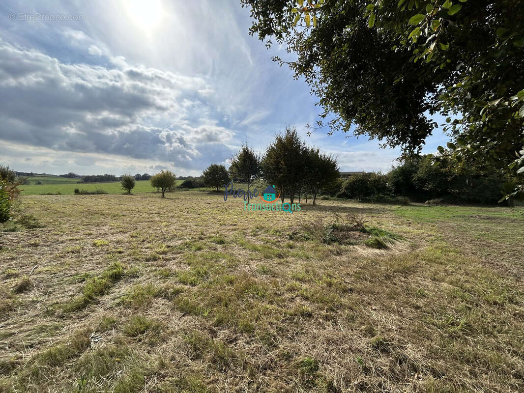 Terrain à SAINT-NICOLAS-DE-LA-TAILLE