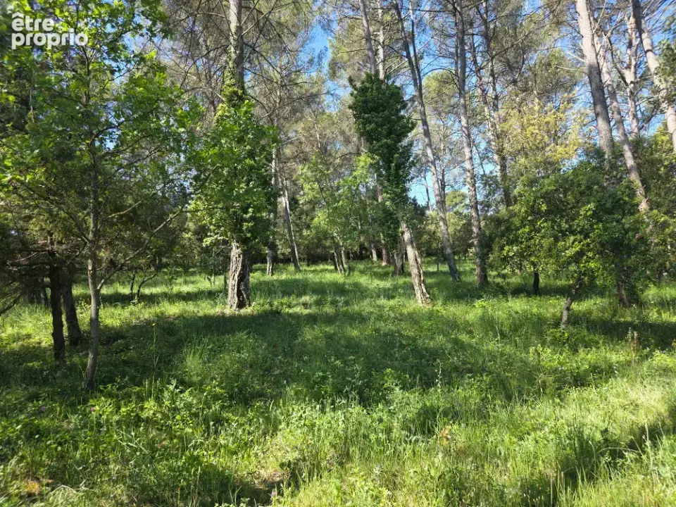 Terrain 847 m² à vendre à Gareoult (83136) - photo 2