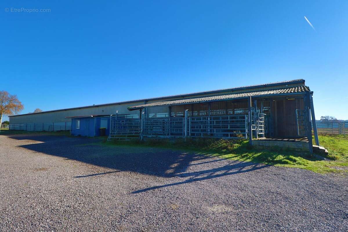 Commerce à SAINT-JEAN-DE-LOSNE