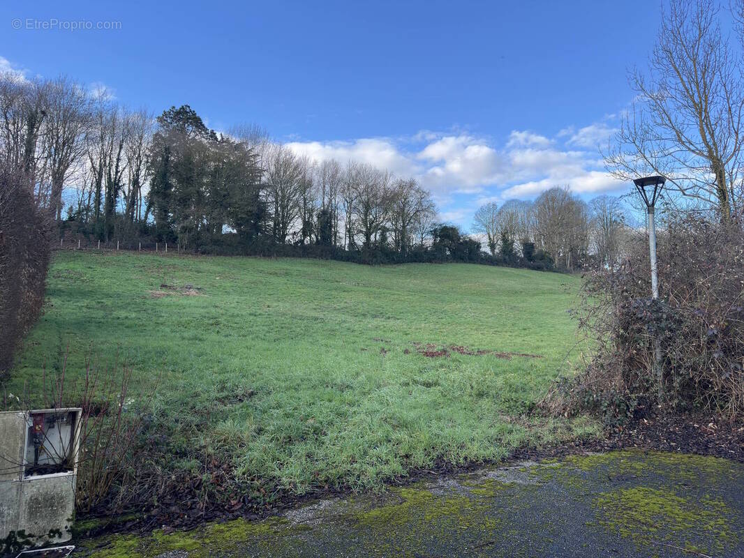 Terrain à CHATILLON-SUR-CHALARONNE