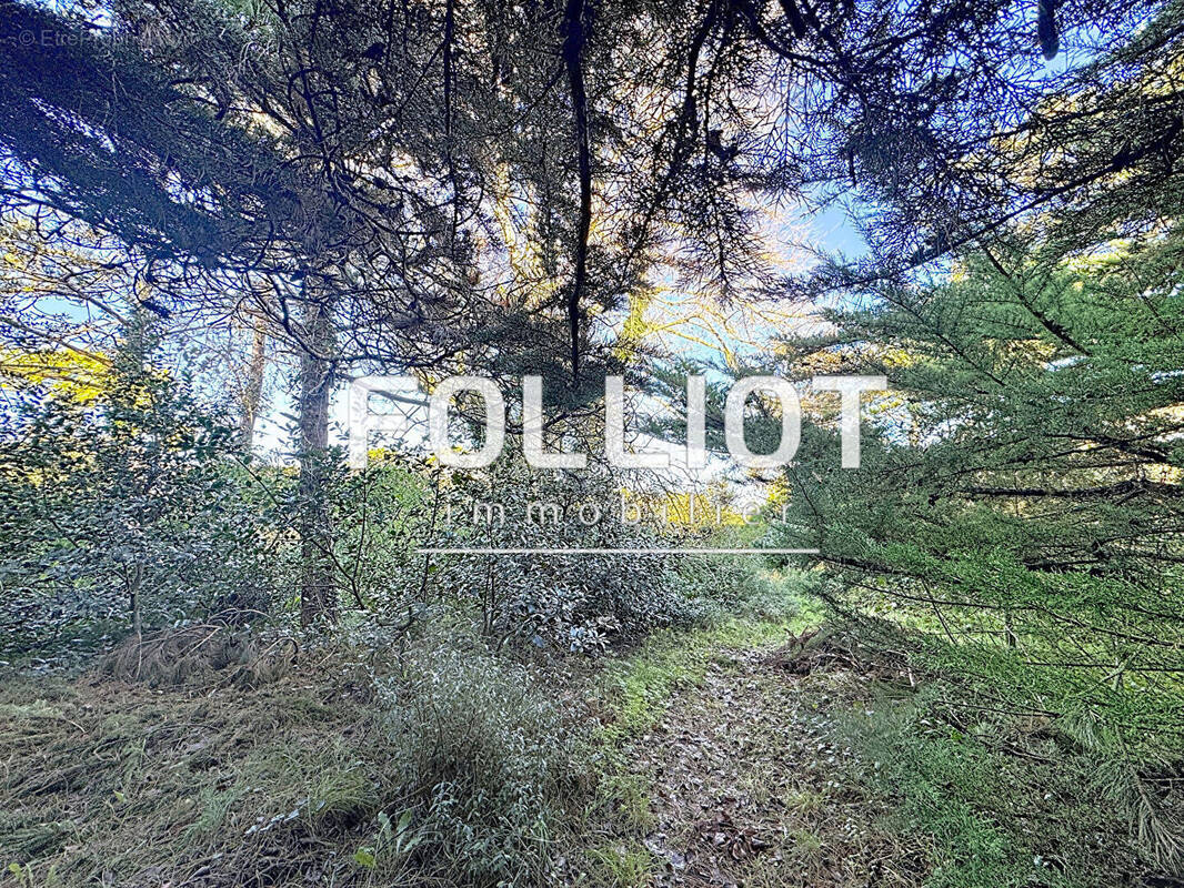 Terrain à AGON-COUTAINVILLE