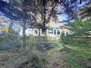 Terrain à AGON-COUTAINVILLE